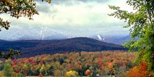 landscape fall foliage